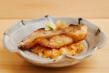 Special Omakase Nigiri Course