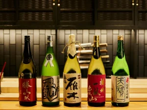 Kitashinchi Sushi Senkodo